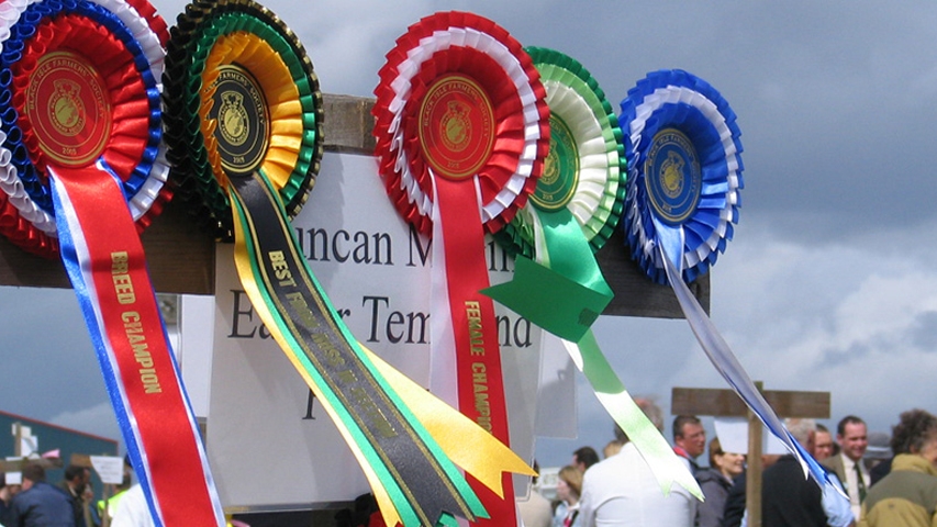 Black Isle Agriculture Show